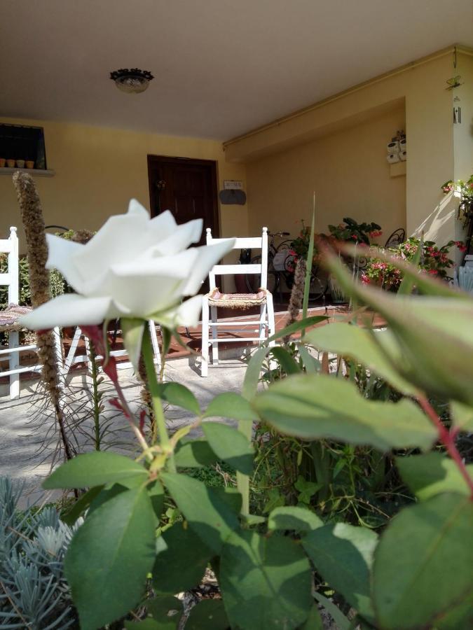 Casa Iovara Telese Exteriér fotografie